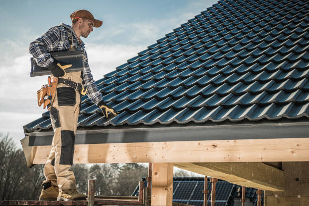 Best Roof Moss and Algae Removal  in Santa Barbara, CA